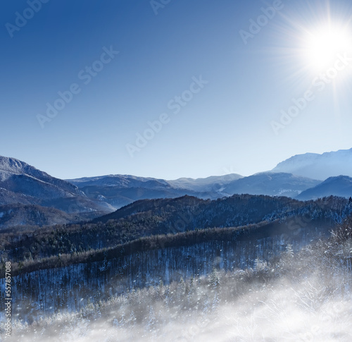 Panoramic view of the covered with frost trees in the snowdrifts. Blizzard blows away powder snow. Natural alpine landscape with beautiful clear blue sky and sun light. Christmas card with copy space