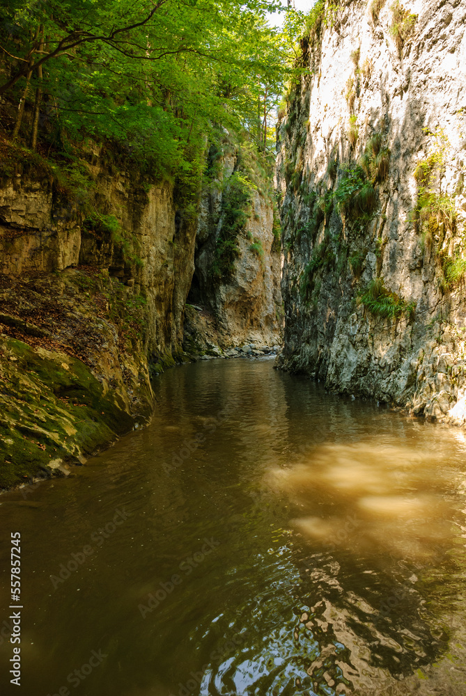 A mountain stream flowing through a canyon narrowed by vertical stone walls. The sharp, rocky cliffs of Ramet Gorges or Cheile Rametului ( Romania) during summer season in a sunny day. Natural tunnel A mountain stream flowing through a canyon narrowed by vertical stone walls. The sharp, rocky cliffs of Ramet Gorges or Cheile Rametului ( Romania) during summer season in a sunny day. Natural tunnel