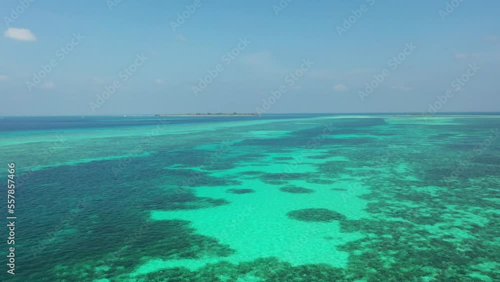 Reef under clear water at Lhaviyani Atoll, Maldives Reef under clear water at Lhaviyani Atoll, Maldives