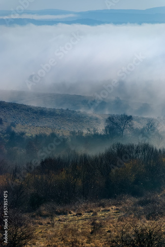 Hilly countryside with hilltops peeking through misty cover on autumn morning. First rays of light touching the trees and lifting morning mist above valleys. Serene moment in rural area in fall season