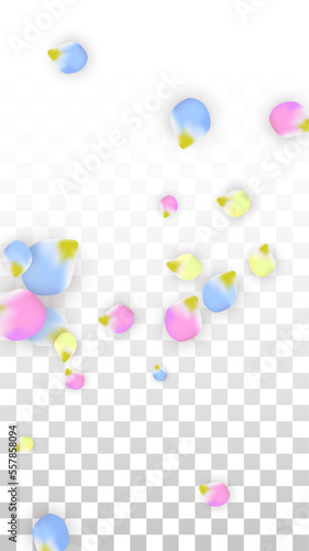 Vector Realistic Colorful Petals Falling on Transparent Background.  Spring Romantic Flowers Illustration. Flying Petals. Sakura Spa Design. Blossom Confetti. Design Elements for Wedding Decoration.