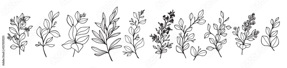 Art's natural branches leave elements. Vector illustration Art's natural branches leave elements. Vector illustration