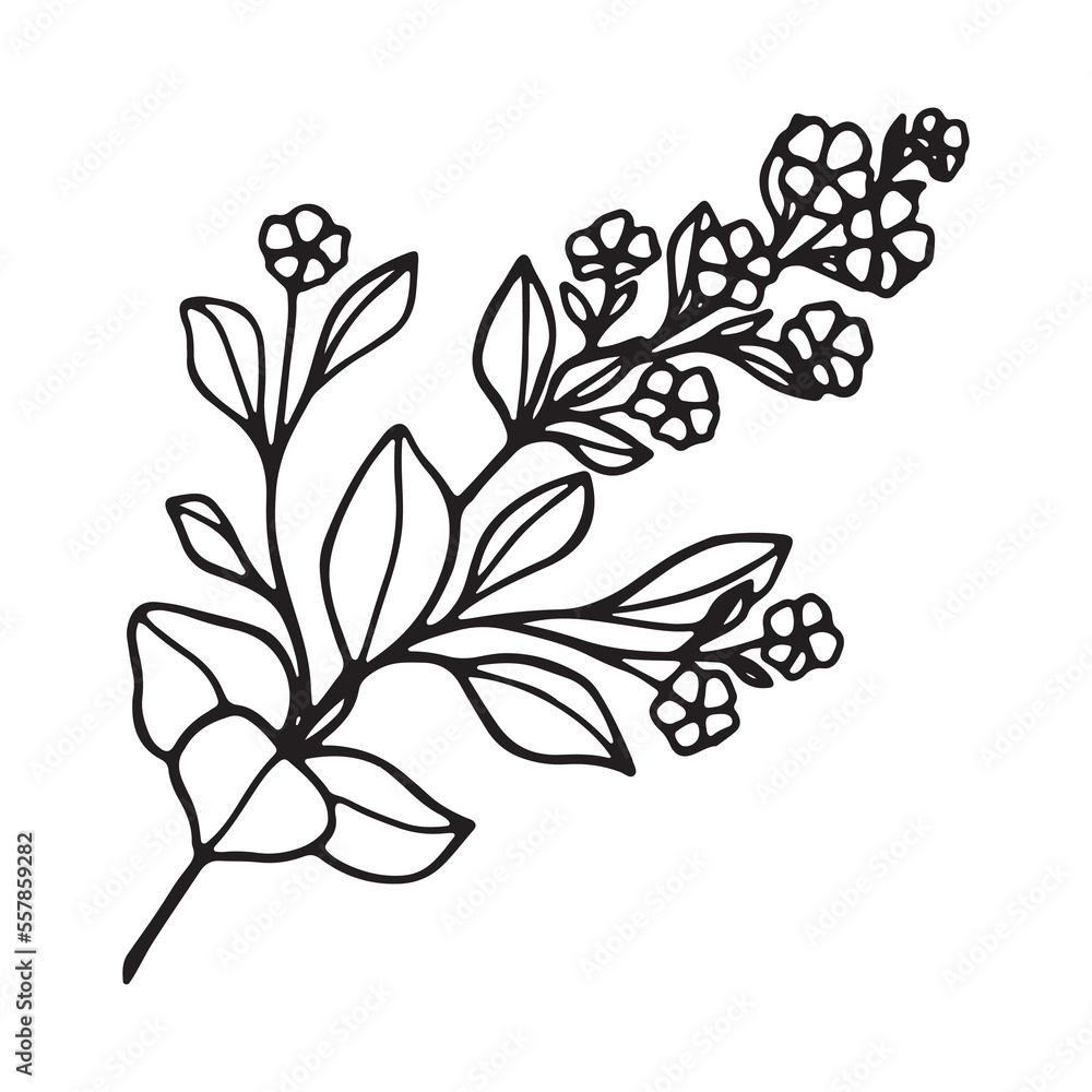 Art's natural branches leave elements. Vector illustration Art's natural branches leave elements. Vector illustration