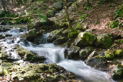 waterfall in germany with nature