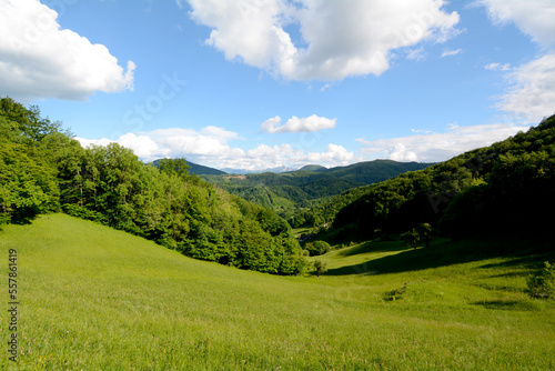 Panorama of beautiful countryside sunny afternoon. Wonderful springtime landscape in mountains. grassy field and rolling hills. rural scenery