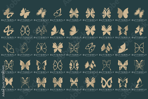 Set of butterfly minimalist line art style logo design. beauty  luxury spa  nature gold. Premium Vector