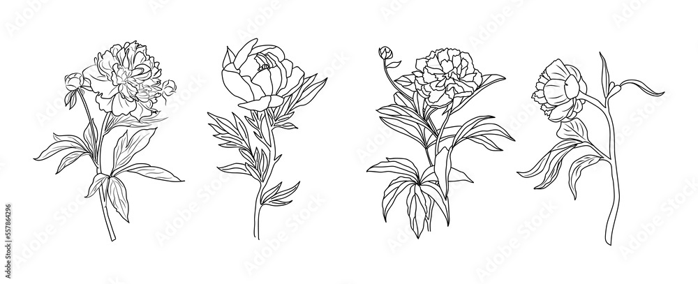 Birth Month Flowers Sethand Drawn Flowers Set Silhouette Vector Flat  Illustration Astrological Zodiac Esoteric Tattoo Stock Illustration   Download Image Now  iStock