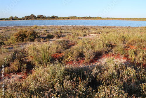lake thetis at cervantes in australia