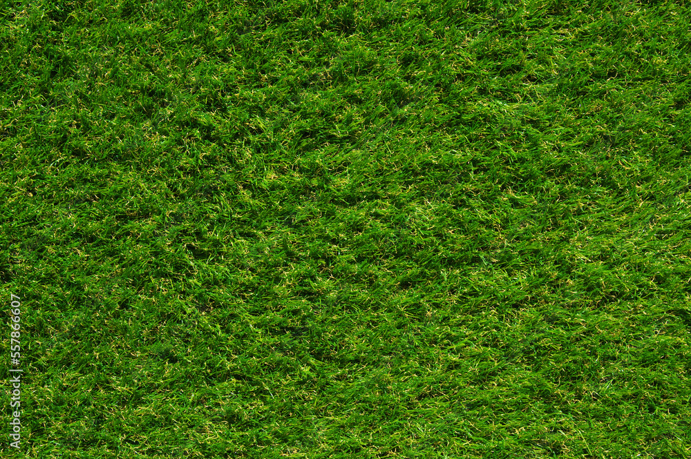 Fototapeta premium Green grass background top view