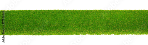 Green grass isolated on white background