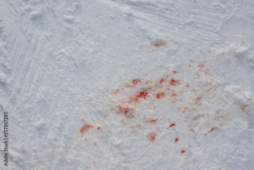traces de sang sur un sol enneigé, sur une piste de ski en plein hiver, illustrant les dangers des sports d'hiver