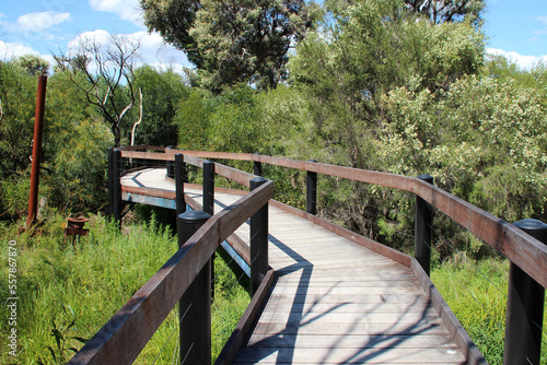 yanchep national park in australia photo