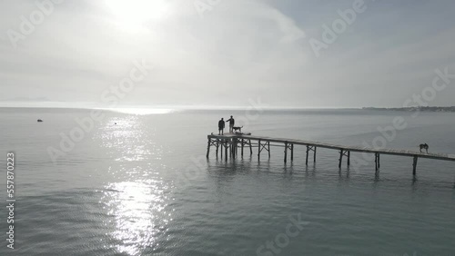 Personas andando con perros por el muelle de madera sobre el mar / video aéreo con drone dron (Dlog para edición de color profesional)
