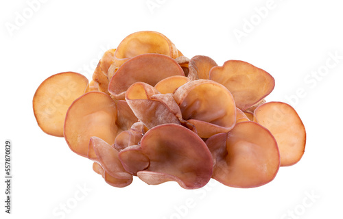 Jew's ear, Wood ear, Jelly ear isolated on transparent png