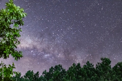 Milky Way from the forest in Southern Brazil