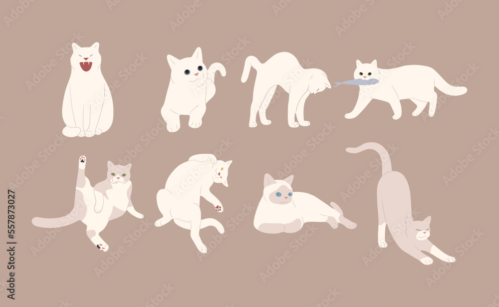 white cat cute 2 on a brown background, vector illustration.