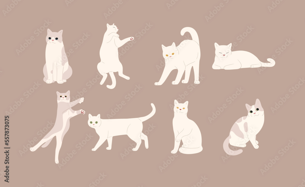 white cat cute 5 on a brown background, vector illustration.