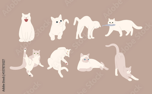 white cat cute 2 on a brown background  vector illustration.