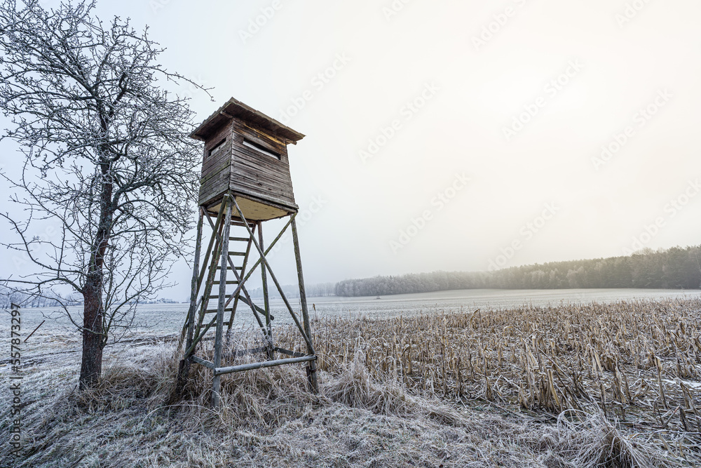 Fototapeta premium Frozen landscape in the countryside with hunting high seat.