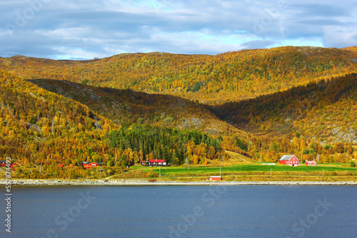 Fjord with rocky shores in autumn in Norway
