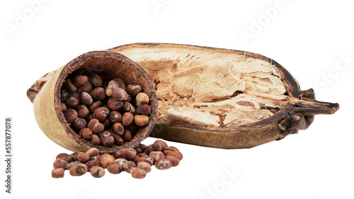 Baobab and seeds on transparent background.