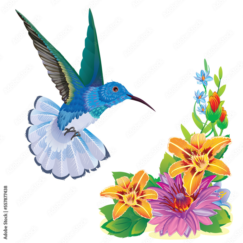 Obraz premium hummingbird bird flutters over a beautiful flower, isolated object on a white background, vector illustration,