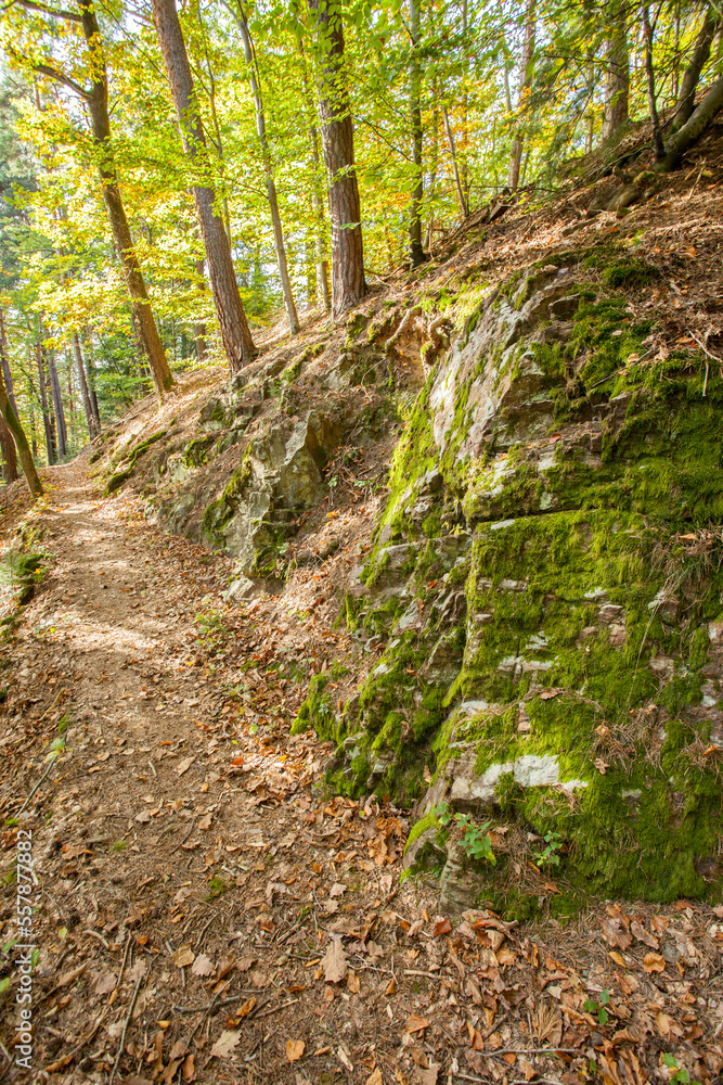 Wanderweg im Herbst