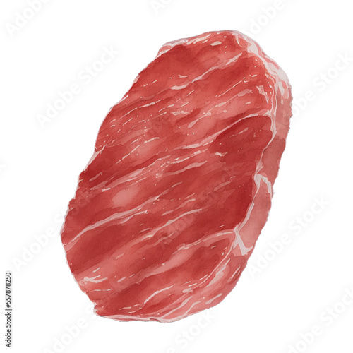 meat hand drawn with watercolor painting style illustration