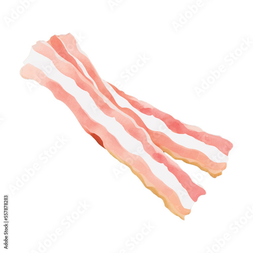 bacon hand drawn with watercolor painting style illustration