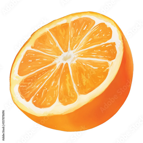 orange slice hand drawn with watercolor painting style illustration
