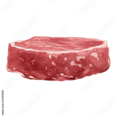 beef hand drawn with watercolor painting style illustration