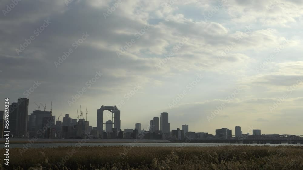 Osaka Umeda City, beautiful scenery of silver grass field on the Yodo River Osaka Umeda City, beautiful scenery of silver grass field on the Yodo River