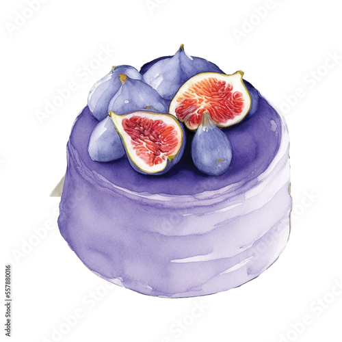 cake purple fig hand drawn with watercolor painting style illustration