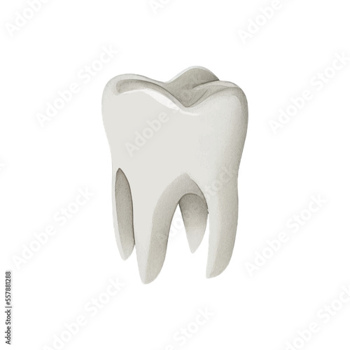 tooth hand drawn with watercolor painting style illustration