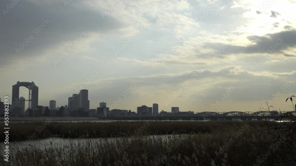 Osaka Umeda City, beautiful scenery of silver grass field on the Yodo River Osaka Umeda City, beautiful scenery of silver grass field on the Yodo River