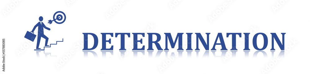 Concept of determination