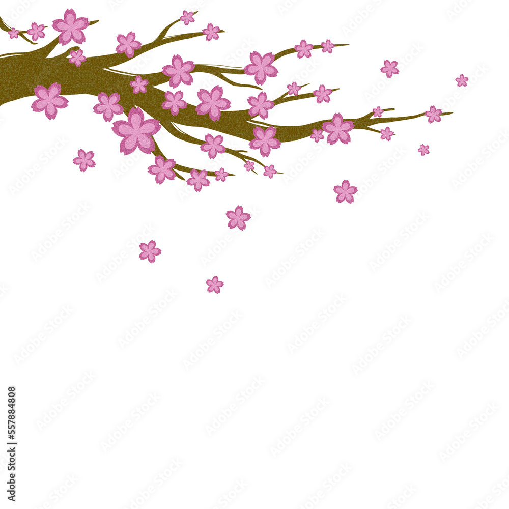 cherry blossom branch, cherry blossoms after winter, elements for decoration chinese new year, happy lunar