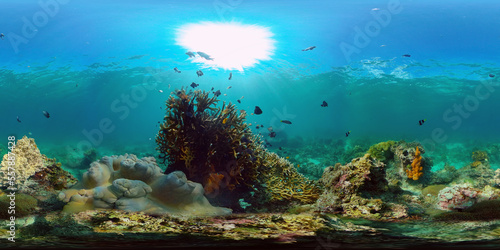 Underwater Scene Coral Reef. Underwater sea fish. Tropical reef marine. Colourful underwater seascape. Philippines. Virtual Reality 360.