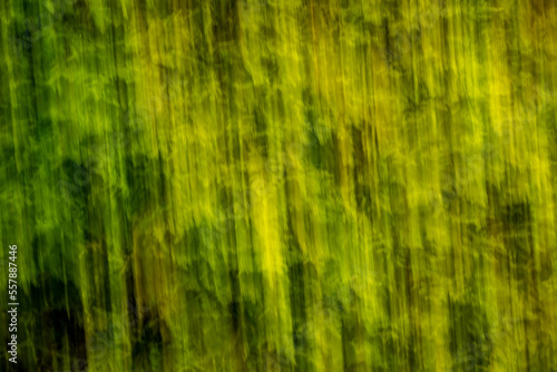 Blurred Moss Creates Background Image