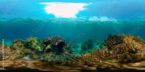 Coral reef underwater with tropical fish. Hard and soft corals  underwater landscape. Tropical underwater sea fish. Philippines. Virtual Reality 360.