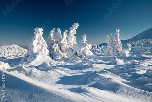 Winter snowy mountain nature