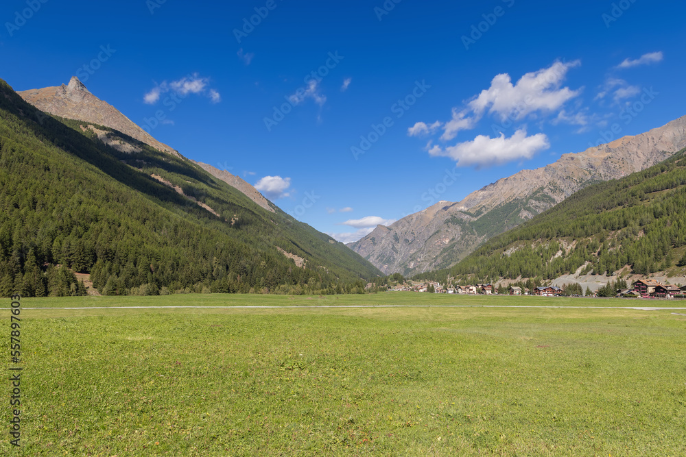 Paved straight path crosses flat evergreen famous Alpine Sant’Orso meadow with Cogne village surrounded by mountain slopes covered with pine forest under blue sky, Aosta Valley, Italy