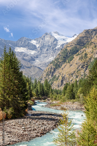 Wallpaper Mural Vertical panorama of stormy Alpine water stream in Gran Paradiso National Park runs along rapids on evergreen pine forested gorge and misty snowy granite rocks ahead. Aosta valley, Italy Torontodigital.ca
