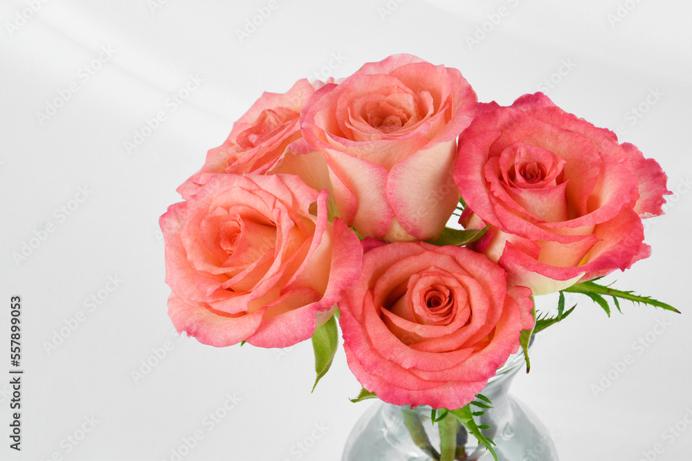 Bouquet of two toned pink and yellow roses arranged in a clear vase isolated on an elegant white fabric draped background. Bouquet of two toned pink and yellow roses arranged in a clear vase isolated on an elegant white fabric draped background.