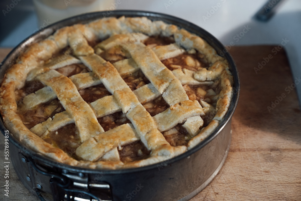 Homemade Apple Pie Made with Homegrown Apples