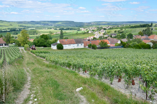 Ferme et vignoble champenois dans les environs de Troissy, France, Champagne, vallée de la marne photo