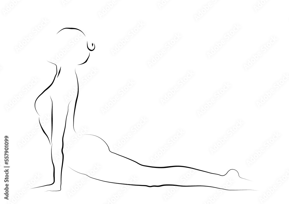 beautiful line drawing of the upward facing dog yoga pose . beautiful line drawing of the upward facing dog yoga pose .