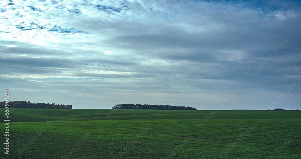 Summer landscape Summer landscape