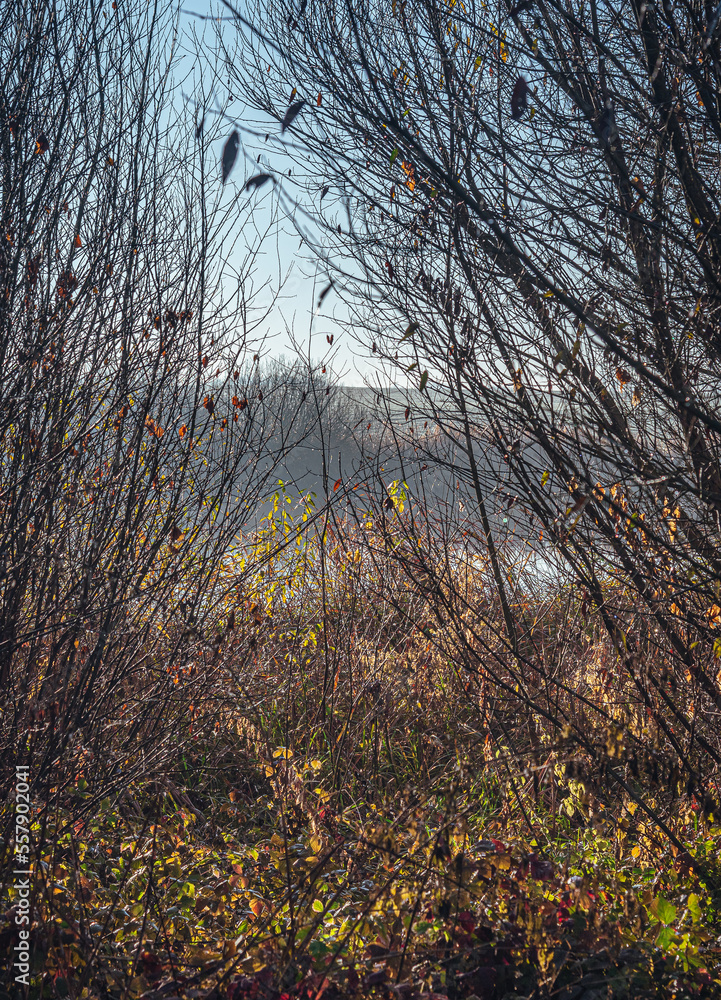 Fototapeta premium Sunrise on river