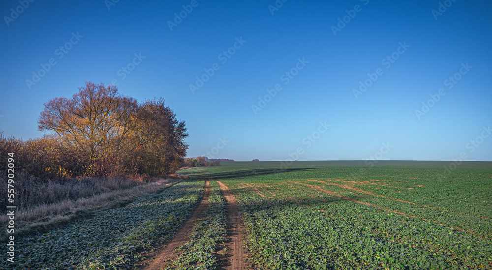 Obraz premium Sunrise on river